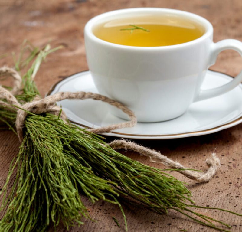 Horsetail medicinal tea infusion